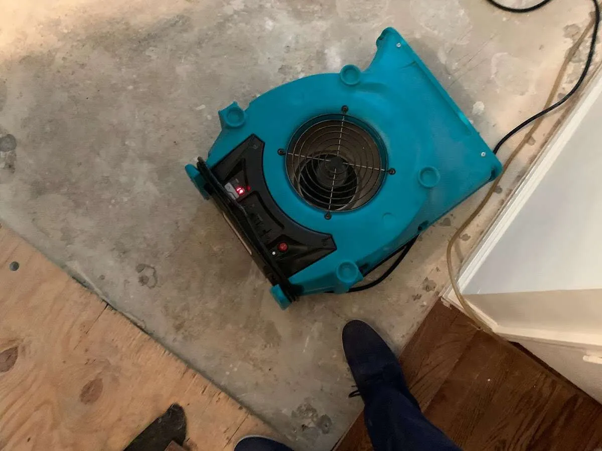 Air mover drying subfloor during Commercial Water Damage Restoration in Vallejo